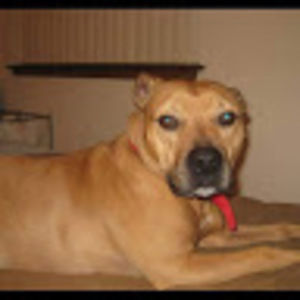 Meet your Posher, Kaysha